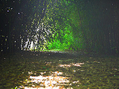 14775570420_e2e9dd09b5_m.jpg