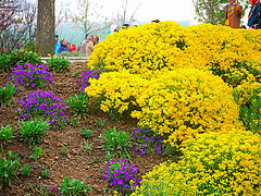 17001638488_bb0c05092e_m.jpg